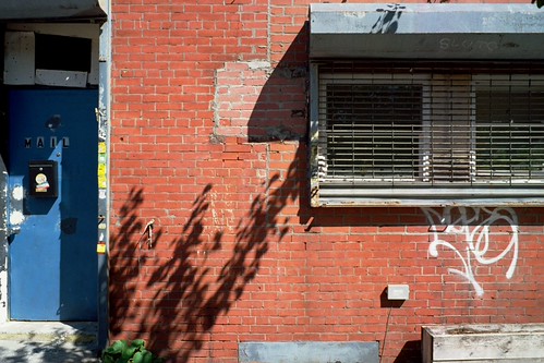 Sunset Park, 2026