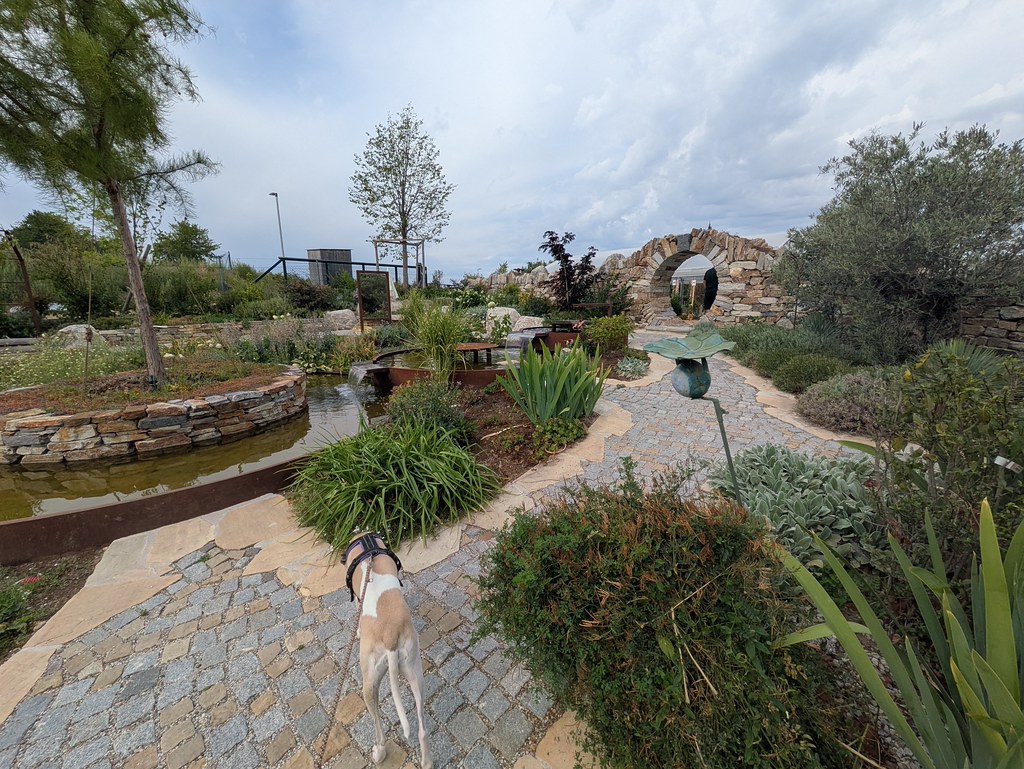 PXL_20260810_075101841