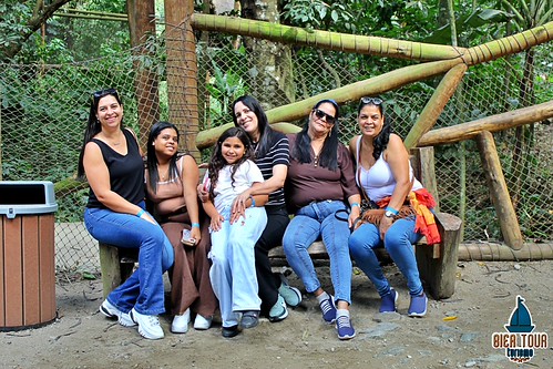 batch_IMG_6462