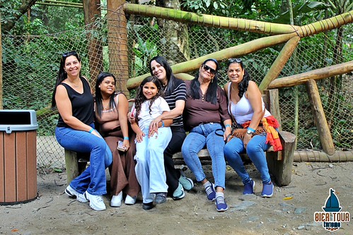 batch_IMG_6461