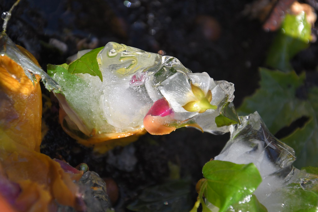 DSC_2058 DSC_2058