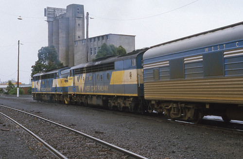 Twin bulldogs from Warnambool | by Aussie foamer