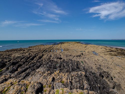 The Secret Coast