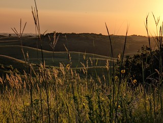 Flickr photo: Prairie grasses at sunset