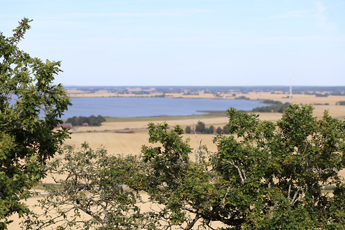 Farmlands