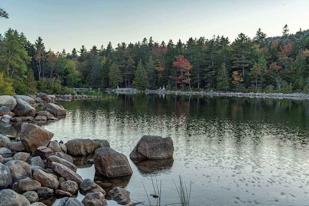 A few maples have turned scarlet and orange among dark spruce along a boulder shore, with the rest of the hardwoods still green.