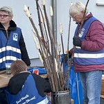 IMG_7796