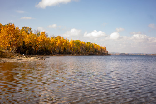 Fall Colours over the lake at Brazeau Reservoir Provincial Recreation Area