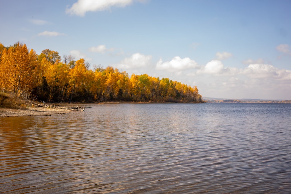 Fall Colours over the lake at Brazeau Reservoir Provincial Recreation Area