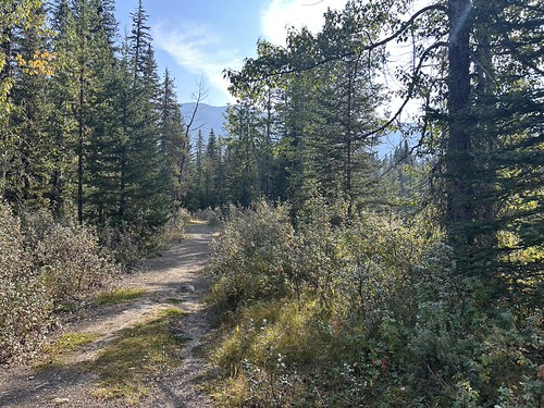 Dutch Creek Provincial Recreation Area
