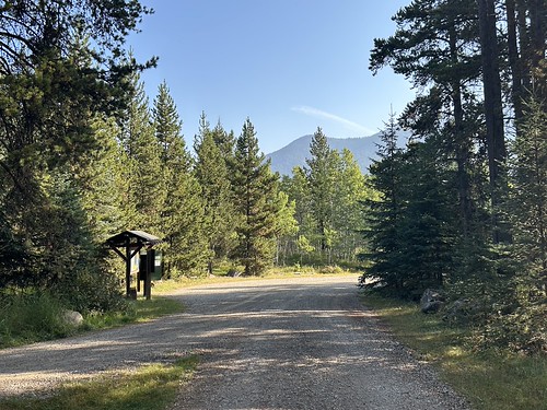 Campground area at Dutch Creek Provincial Recreation Area