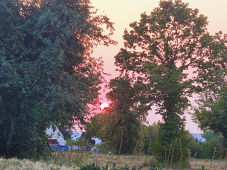 Flickr photo: 245 - Amboise en juillet 2026 - le coucher de soleil sur le plateau