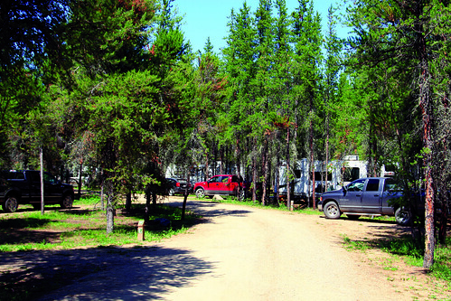 Moose Lake Campground Loop