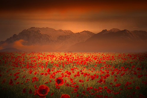 Improbabile | by IVa e vieni 1