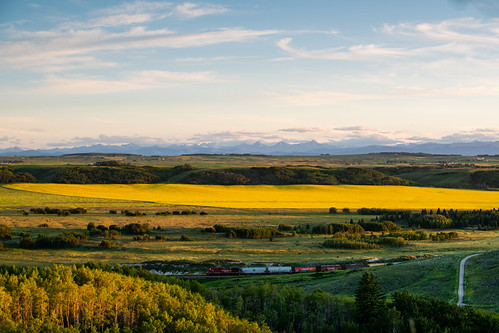 Landscape shot of prairies at Glenbow Ranch Provincial Park