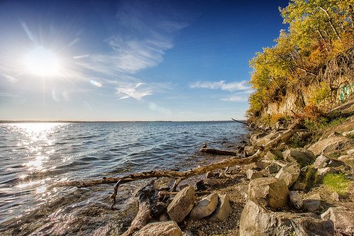 Trees along the shore of Sylvan Lake with the sun shining in Jarvis Bay Provincial Park