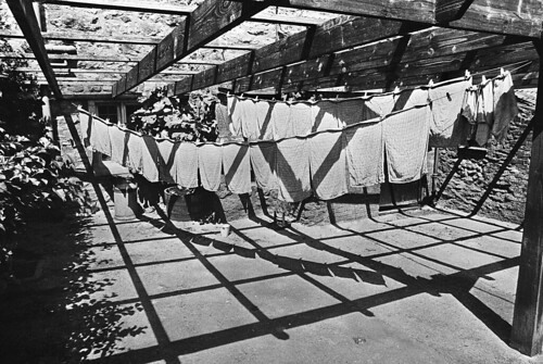 Washing Line