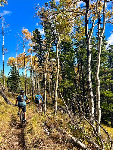 Fall mountain biking at Moose Mountain Trailhead Provincial Recreation Area