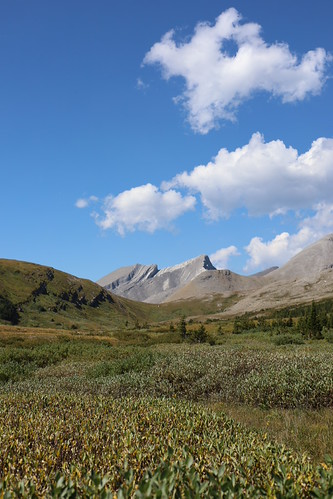 Whitehorse Wildland Park