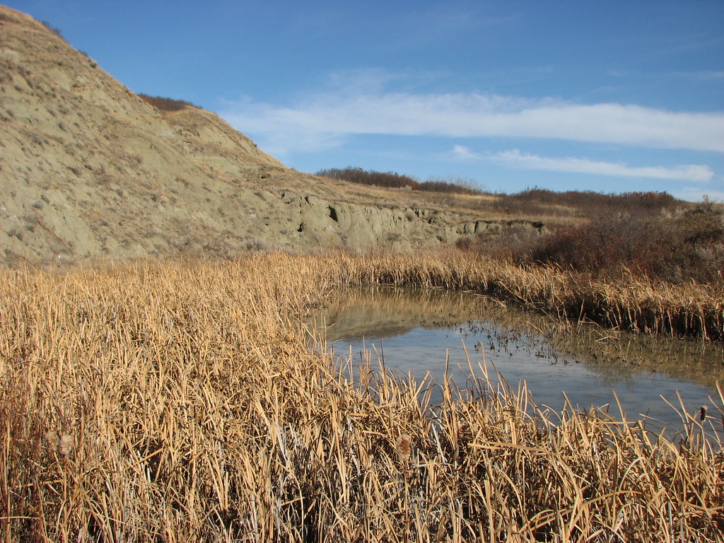 Tolman Badlands Heritage Rangeland Natural Area