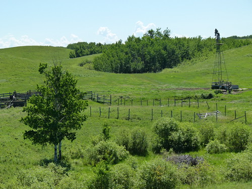 Rumsey Ecological Reserve