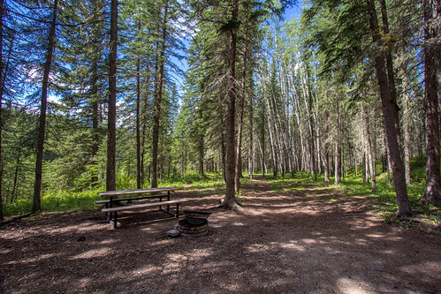 Campsite at Saunders Provincial Recreation Area