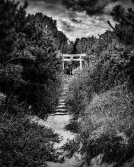 Hidden shrine. Katsuura Beach.