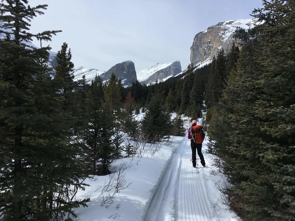 Cross-country skiing at Whitehorse Creek Provincial Recreation Area