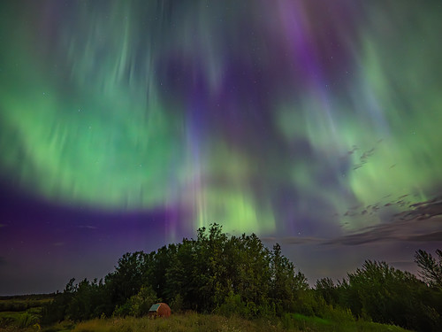 Aurora Borealis over Wabamun Lake Provincial Park