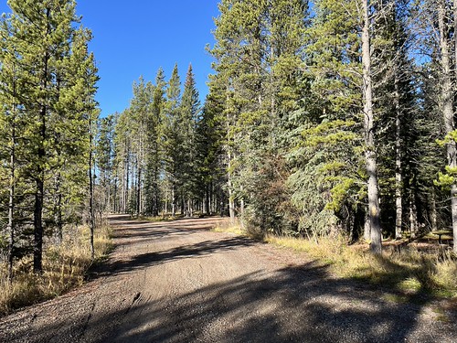 Campground road at Elk Creek Provincial Recreation Area