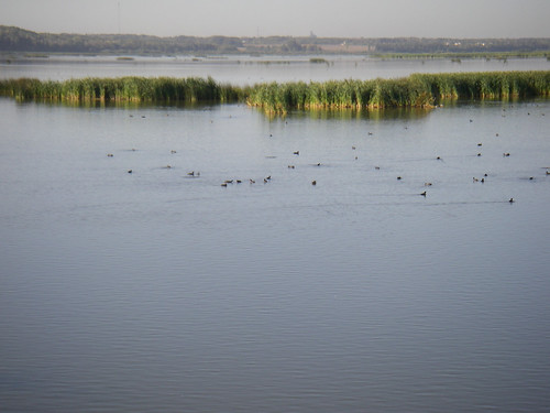 Lloyd Creek Natural Area