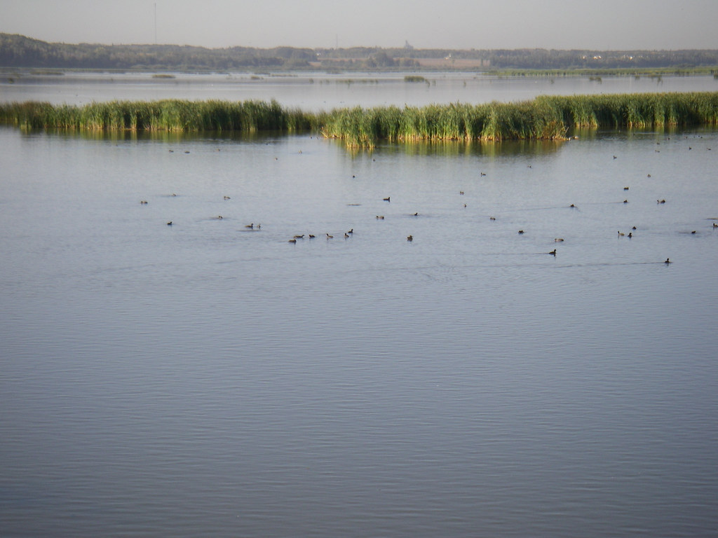 Lloyd Creek Natural Area