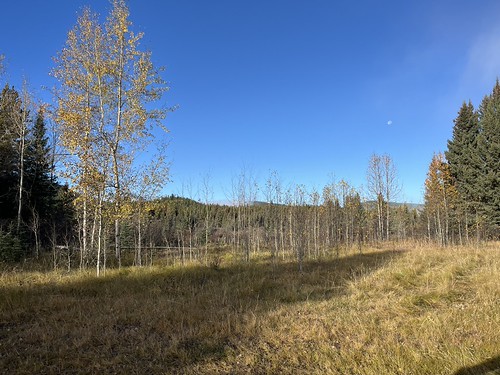 Elk Creek Provincial Recreation Area