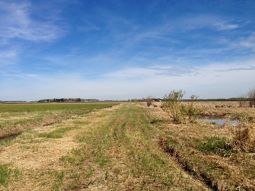 Lloyd Creek Natural Area