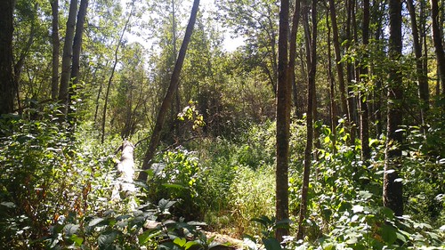 Sherwood Park Natural Area