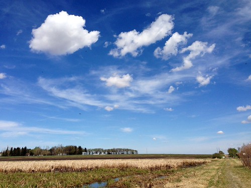 Lloyd Creek Natural Area