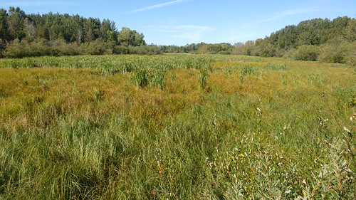 Sherwood Park Natural Area