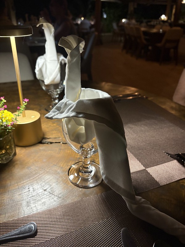 Even the napkins are birds
