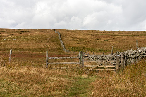 Pforte im Feld