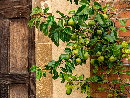 Blickling Hall, Norfolk-5.jpg