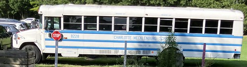 CMS Bus 8228 | by ct-337