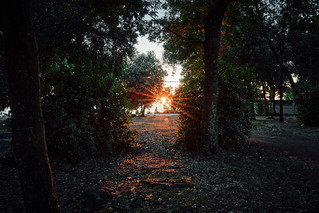 Flickr photo: Red rays