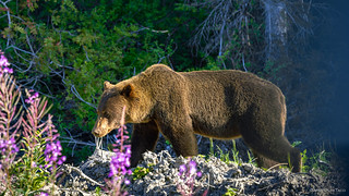 Stopping to smell the flowers.