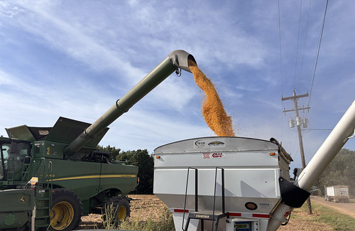 2026-8-19-Corn harvest Lafayette Co-IMG_7228