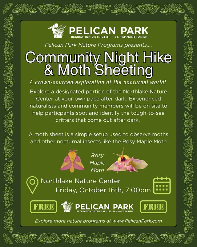 Community Night Hike vert - 1