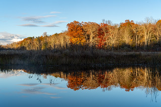 Flickr photo: Harwinton Autumn