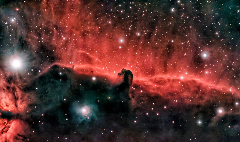 55487543892_86b59119f4_c.jpg