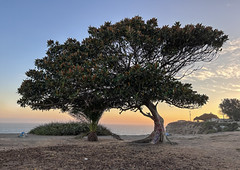Sunset at Point Fermin