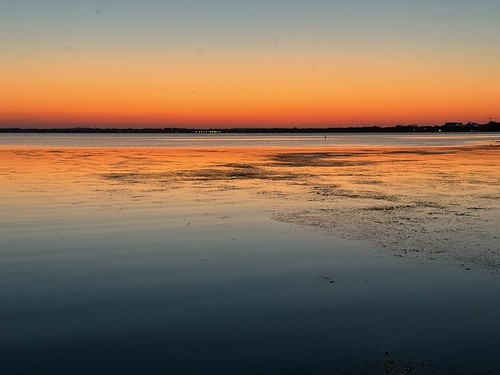 IMG_0499