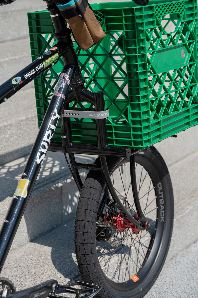 *SURLY* bridge club